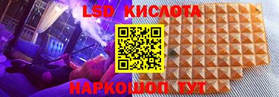 винт Бийск