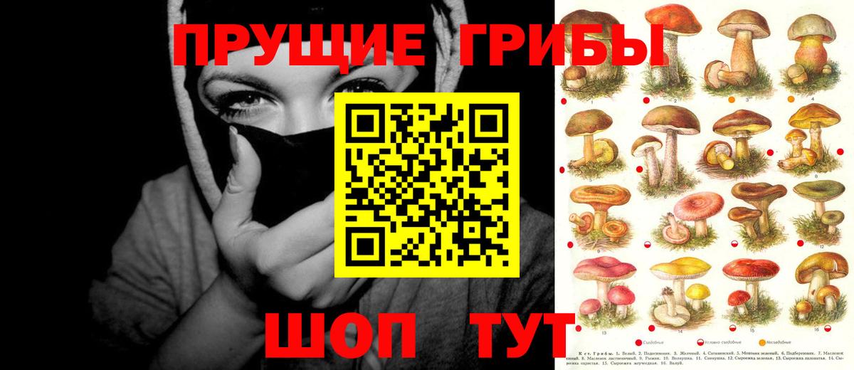 Галлюциногенные грибы GOLDEN TEACHER Кимры