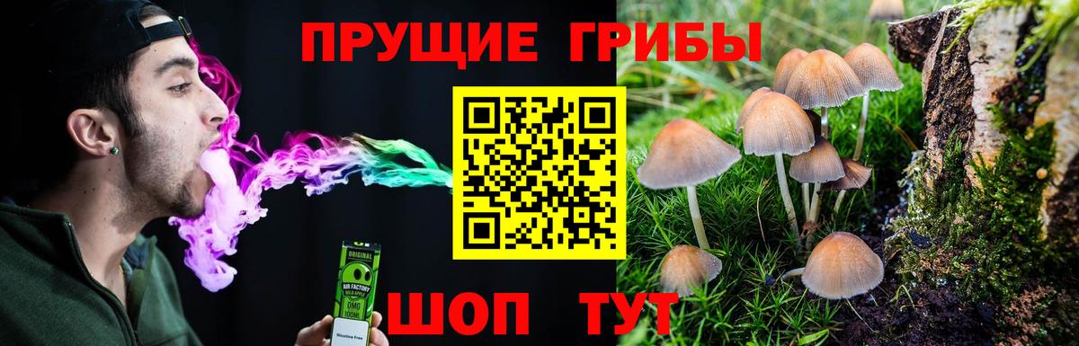 Галлюциногенные грибы мухоморы  Вход с VPN  Кимры 